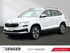 Skoda Karoq saerbeck
