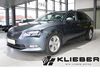 Skoda Superb bueddenstedt