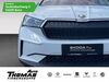 Skoda Enyaq ockenheim
