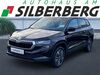 Skoda Karoq kreis|tuebingen