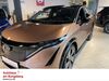 Nissan Ariya huelseburg