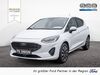 Ford Fiesta hottelstedt
