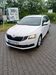 Skoda Octavia walhausen