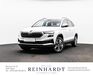Skoda Karoq meinborn