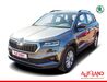 Skoda Karoq schoenburg
