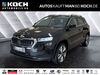 Skoda Karoq schoena-kolpien