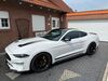 Ford Mustang Triebischtal