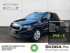 Skoda Karoq kreis|rottal-inn