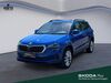 Skoda Karoq bueddenstedt