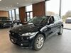 Jaguar F-Pace stockhausen-illfurth