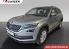 Skoda Kodiaq kreis|suedliche-weinstrasse