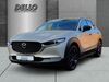Mazda CX-30 suedergellersen