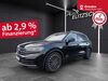 VW Touareg gruenewald