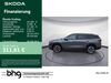 Skoda Kodiaq Schallbach