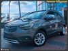 Opel Crossland (X) dorn-duerkheim