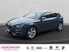 Seat Leon fuerfeld