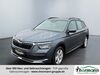 Skoda Kamiq muehlstedt