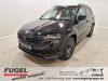 Skoda Karoq kreis|suedliche-weinstrasse