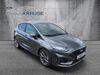 Ford Fiesta schoeneiche