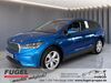 Skoda Enyaq kreis|suedliche-weinstrasse