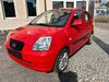 Kia Picanto Schöna-Kolpien