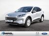 Ford Kuga harzungen