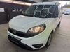 Fiat Doblo Bahlingen am Kaiserstuhl