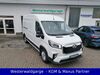Maxus Andere leutesdorf