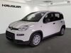 Fiat Panda geisenfeld