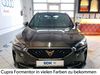 Cupra Formentor Kreis|Limburg-Weilburg