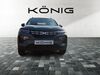 Dacia Spring schwallungen