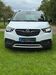 Opel Crossland (X) dauchingen