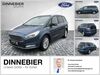 Ford Galaxy bueddenstedt