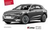 Audi e-tron ehringshausen