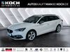 Seat Leon schoena-kolpien