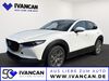 Mazda CX-30 wiesloch
