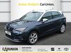 Seat Arona nahetal-waldau