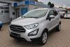 Ford EcoSport Gersfeld (Rhön)