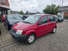 Fiat New Panda Gersfeld (Rhön)