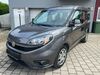 Fiat Doblo Bahlingen am Kaiserstuhl