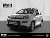Fiat Panda walhausen
