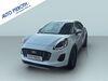Ford Puma baumholder