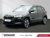 Skoda Karoq saerbeck