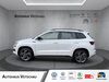Skoda Karoq dohma