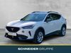Cupra Formentor schoena-kolpien