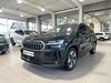 Skoda Kodiaq Voerde (Niederrhein)