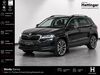 Skoda Karoq kreis|main-tauber-kreis