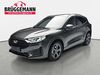 Ford Kuga wattmannshagen