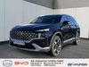 Hyundai SANTA FE Saalow