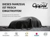 Opel Zafira Life obergriesbach